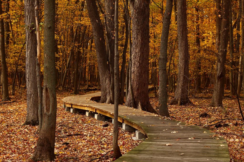 fall hike